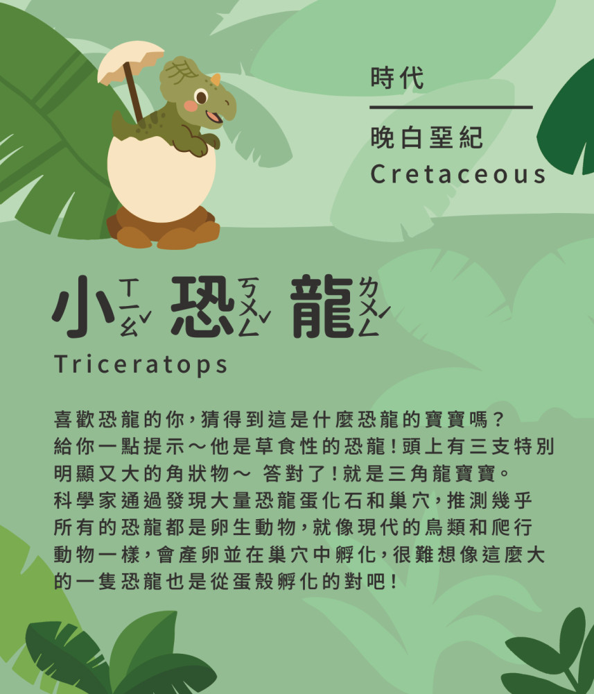小恐龍