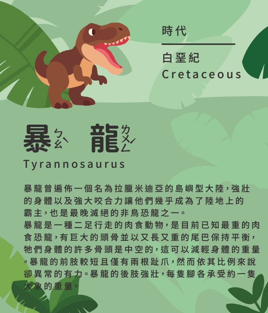 暴龍