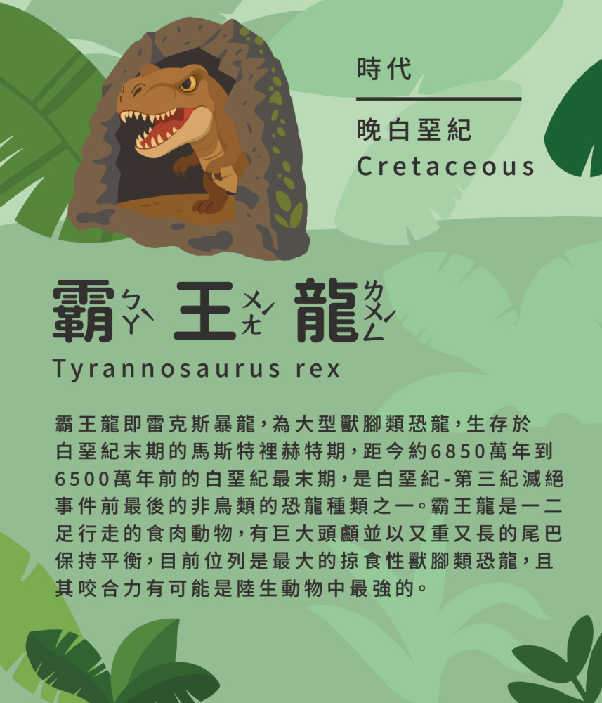 霸王龍