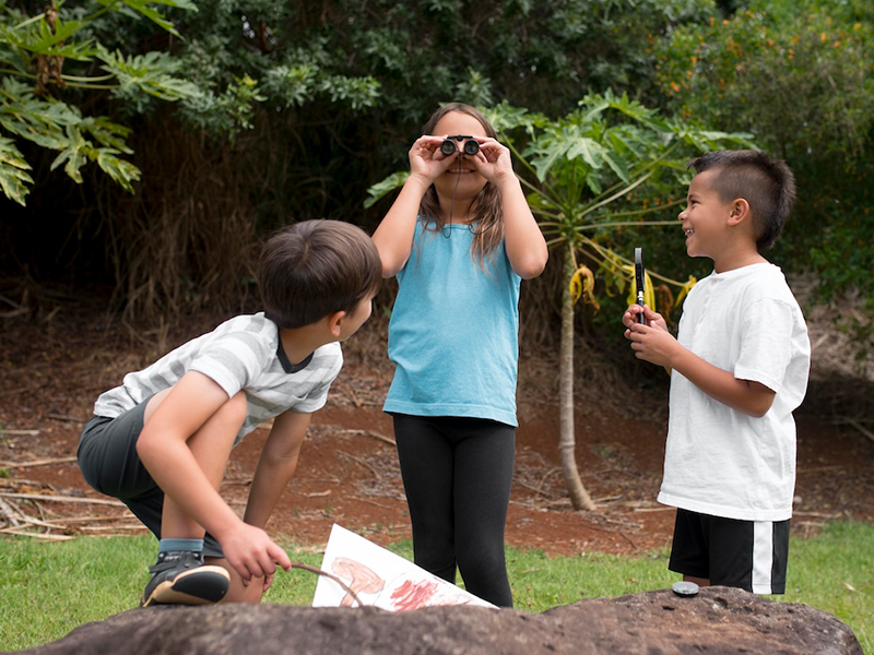 暑假限定優惠，即日起～8/31期間「12歲以下兒童」可享免費入園。